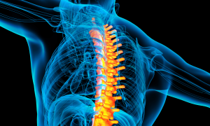 Grow A Backbone