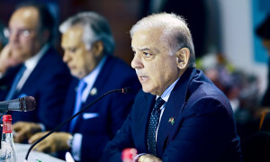 PM Shehbaz lays out plan for economic growth after stability