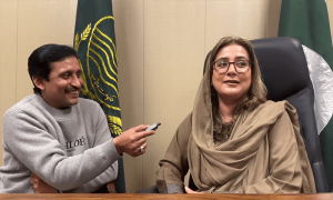 قومی ٹیم کی سرجری ہوئی نہ ڈرپ لگی، عظمیٰ بخاری کی محسن نقوی پر تنقید