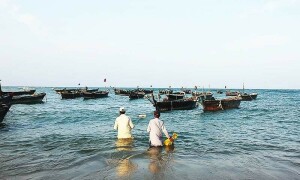 Balochistan approves fisheries policy