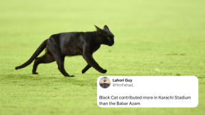 &lsquo;Pssst&rsquo;, the mysterious black cat at National Stadium, Karachi is cricket&rsquo;s newest superstar