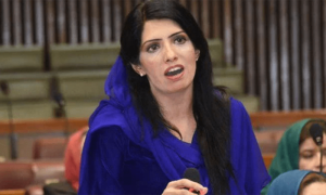 تحریک انصاف نے پنجاب حکومت کی تشہیری مہم پر اخراجات کی تفصیلات مانگ لیں