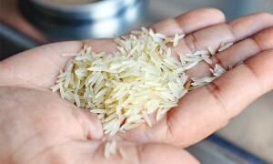 &lsquo;Substandard&rsquo; rice consignments from Pakistan intercepted in EU