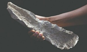 15 لاکھ سال قبل بھی انسان ہڈیوں کے ذریعے اوزار بنارہے تھے، تحقیق میں انکشاف