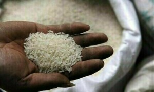 حکومت کا چاول کی کنسائمنٹس پر میتھائل برومائیڈ کا چھڑکاؤ فوری روکنے کا فیصلہ