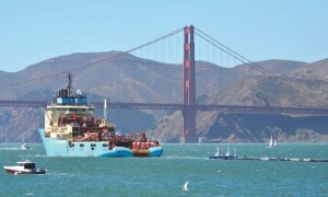 Race to name creatures of Pacific Ocean as mining interest grows