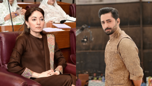 MNA Sharmila Faruqui believes Danish Taimoor&rsquo;s statement reduces marriage to a &lsquo;power play&rsquo;