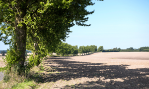 Can Pakistan Secure Its Agricultural Future?