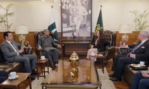 وزیر داخلہ سے امریکی سفیر کی ملاقات، جعفر ایکسپریس پر حملے سمیت دہشت گردی کی مذمت