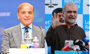 PM, JI emir discuss relief in electricity rates, Palestine