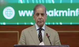 کھربوں ڈالر کے معدنی ذخائر آئی ایم ایف کو الوداع کہنے میں مدد دے سکتے ہیں، وزیراعظم