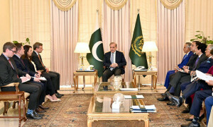 امریکی سرمایہ کار پاکستان میں معدنیات کے شعبے میں سرمایہ کاری کے موا قع سے فائدہ اٹھائیں، وزیراعظم