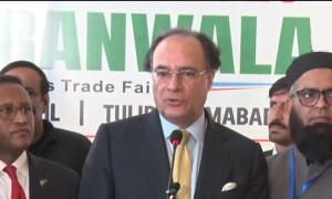 وزیر خزانہ نے بجٹ میں تنخواہ دار طبقے کو ریلیف دینے کی نوید سنادی