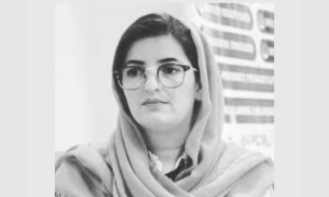 Afghan woman journalist at risk of deportation