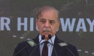 اجتماعی کوششوں کے نتیجے میں اللہ نے معیشت کو استحکام بخشا ہے، وزیراعظم