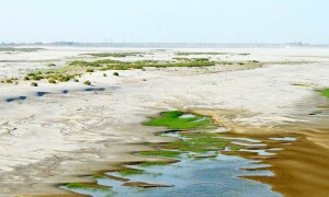 Sindh govt writes second letter to Irsa demanding closure of TP link canal