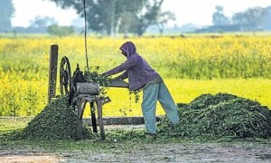 Farmer kills boy for taking bath at his tubewell in Punjab&rsquo;s Vehari