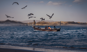 A sea under siege: For Gwadar&rsquo;s fishermen, the nets are full of hope but never fish