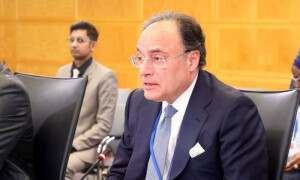 واشنگٹن وزارتی اجلاس: محمد اورنگزیب نے ماحولیاتی تبدیلی سے نمٹنے کی کوششوں پر بریفنگ دی