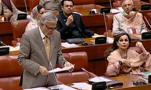 پاکستان کو پہلگام واقعے سے جوڑنے کی مذمت کرتے ہیں، سینیٹ میں قرارداد متفقہ طور پر منظور