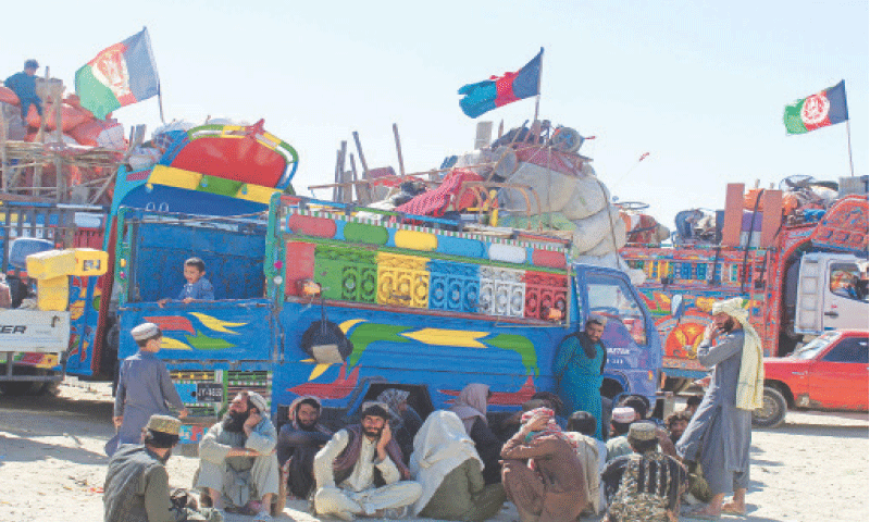 UNHCR urges world to share responsibility of Afghan refugees