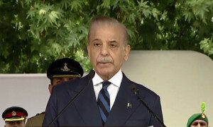 پہلگام واقعے پر غیرجانبدارانہ عالمی تحقیقات کیلئے تیار، پانی روکا تو طاقت سے جواب دینگے، شہباز شریف