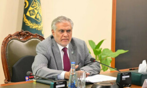 پاکستان اپنے حصے کے پانی کا تحفظ کرنے کیلئے مناسب اقدامات کرے گا، نائب وزیراعظم