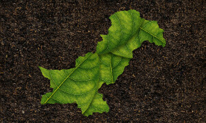 Aurora Survey: Does Pakistan Care About Sustainability?