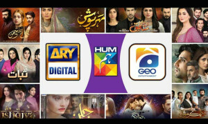 بھارت نے نیوز کے بعد پاکستان کے شوبز یوٹیوب چینل بھی بند کردیے