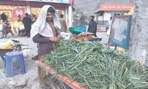 Wild vegetable becomes a source of income for Chitral youth
