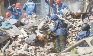 Trump tells Putin to ‘stop’ after Russian attack kills 12 in Kyiv