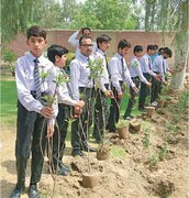 Bahawalpur PHA to develop Miyawaki forests at seven sites