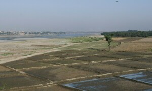 &lsquo;Multiple ministries to craft Pakistan&rsquo;s response on IWT&rsquo;