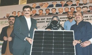 Sindh&rsquo;s housing and solar projects lack transparency, Senate panel notes