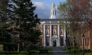 Trump administration freezes future grants to Harvard