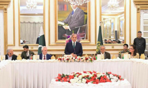 ٹیرف کے معاملے پر امریکی انتظامیہ سے رابطہ ہے، جلد فائدہ مند حل تلاش کرلیا جائے گا، وزیراعظم