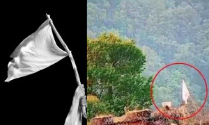 جنگ کے دوران سفید جھنڈا لہرانے کا مطلب شکست کیوں ہوتا ہے؟