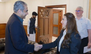 محسن نقوی سے امریکا کی قائم مقام سفیر کی ملاقات، بھارتی حملے کے بعد کی صورتحال پر تبادلہ خیال