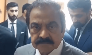 منہ توڑ جواب دے چکے، بھارت دراندازی نہ کرے تو ہماری طرف سے غیر ذمہ دارانہ بات نہیں ہوگی، رانا ثنا