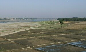 Govt urged to seek US intervention over Indus treaty