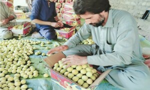 Over 30 edible items declared unfit for consumption in GB