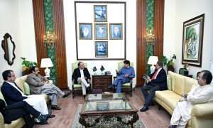 Minister promises public relief after military success