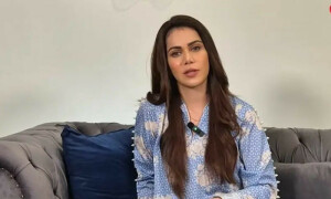 شوہر اور خاندان والے نہیں چاہتے کہ اداکاری کروں، غنا علی