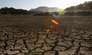 Cost of disasters exceeds $2.3 trillion annually: UN report