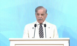 سندھ طاس معاہدے کی معطلی انتہائی افسوسناک، بھارت کو سرخ لکیر عبور نہیں کرنے دیں گے، وزیراعظم