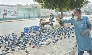 HEALTH: FEATHERS AND FATAL LUNGS