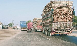 Lower Sindh loses green cover thanks to illegal logging, encroachment of forests