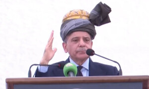شہباز شریف کا این ایف سی ایوارڈ میں خیبرپختونخوا کے حصے پر کمیٹی تشکیل دینے کا اعلان