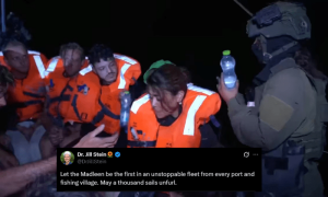 &lsquo;Release the Madleen&rsquo;: Outrage mounts as Israel seizes Gaza-bound aid ship, &lsquo;abducts&rsquo; activists