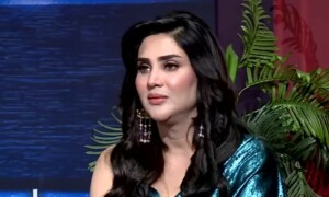 سہیل وڑائچ سے متعلق متنازع بات کرنے پر فضا علی کو تنقید کا سامنا